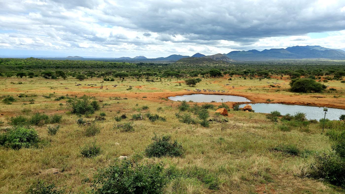 Weite Savanne des Tsavo West Nationalparks mit Hügeln am Horizont