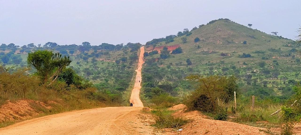 Eine rote Piste führt schnurgerade durch die grüne Hügellandschaft Ugandas